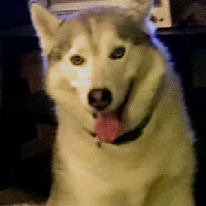 Meet your Posher, Pamela